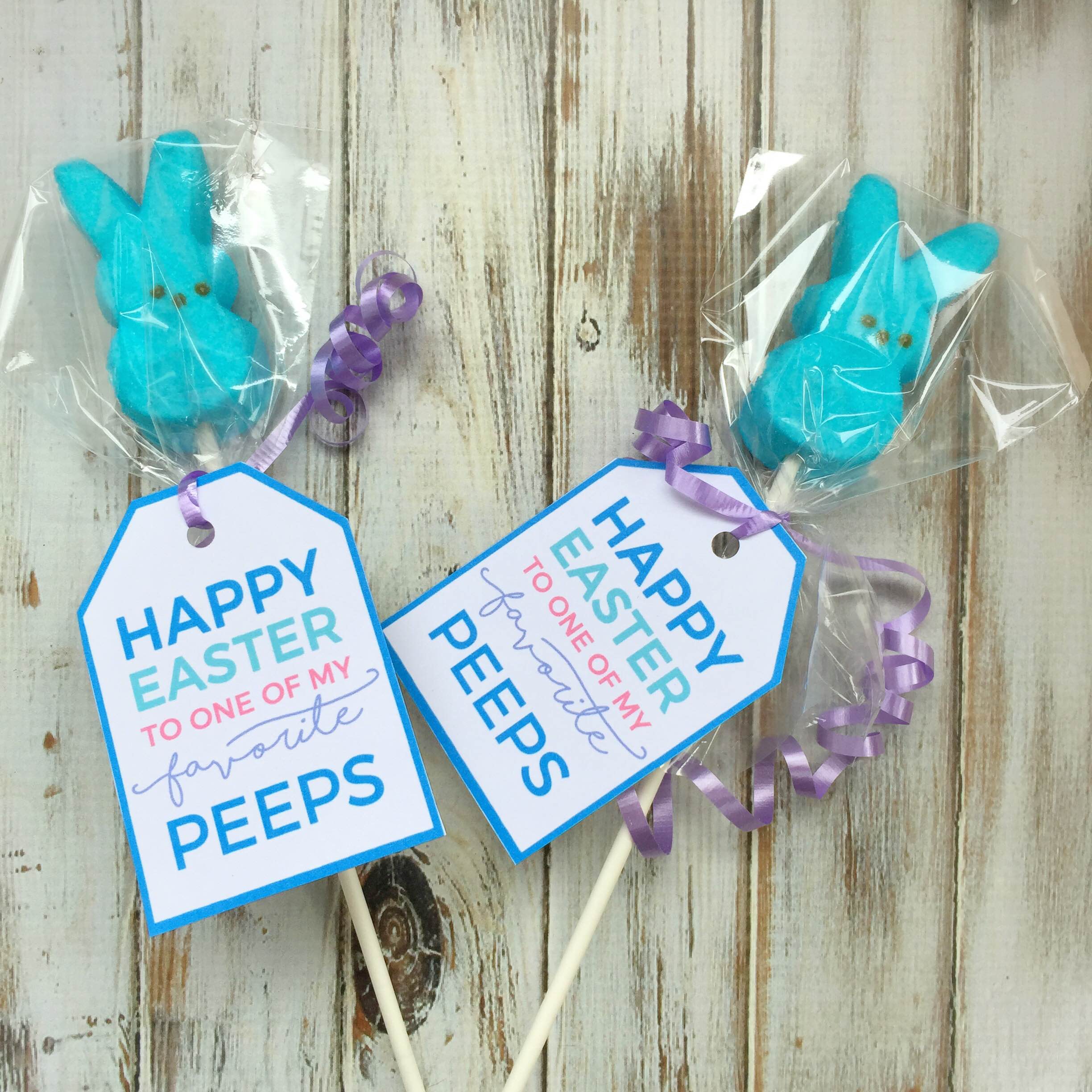 Easter printables | Easter treat tags | Annie's bunny snack tags | Easter party favors | GinaKirk.com @ginaekirk