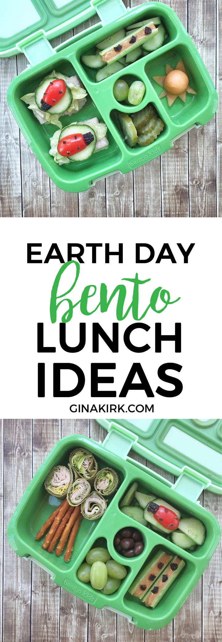 Earth day fun food ideas | Earth day lunchbox fun | Bento ideas for kids on Earth Day | Earth Day lunch | GinaKirk.com @ginaekirk