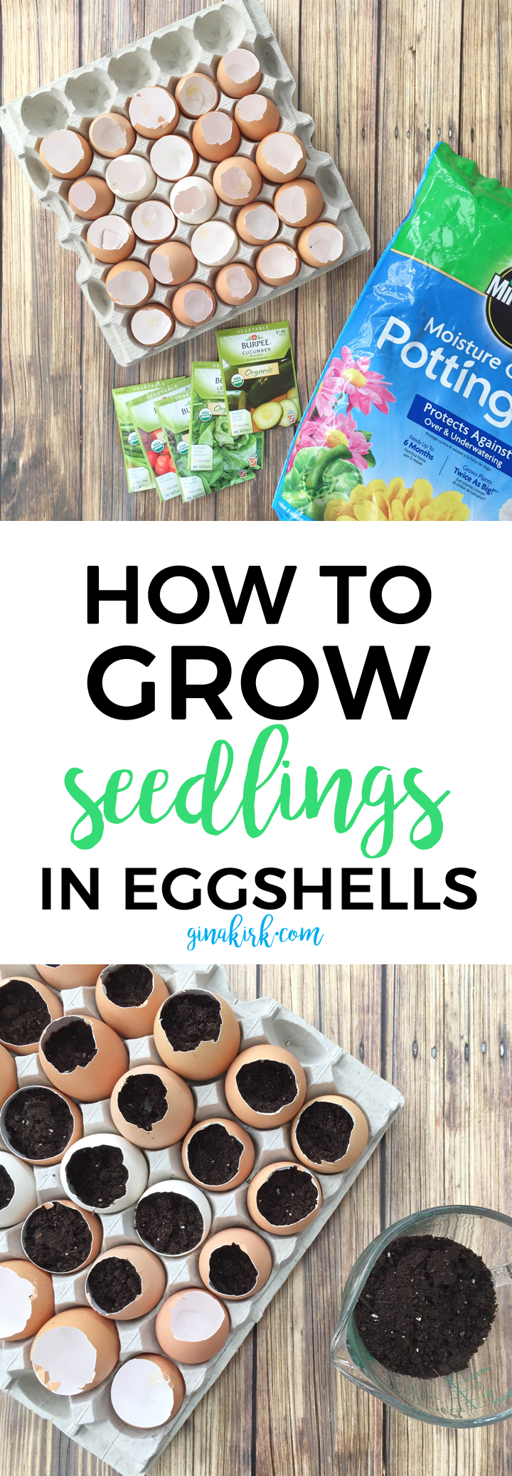 How to grow seedlings in eggshells | How to start seeds | Planting seeds | Eggshell seed starters | GinaKirk.com @ginaekirk
